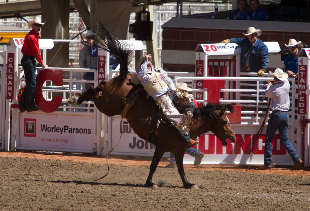 Calgary Stampede-1589.jpg